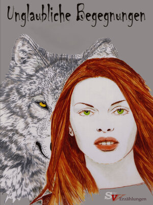 cover image of Unglaubliche Begegnungen
